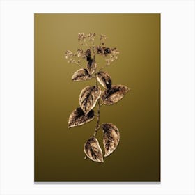 Gold Botanical New Jersey Tea on Dune Yellow Canvas Print