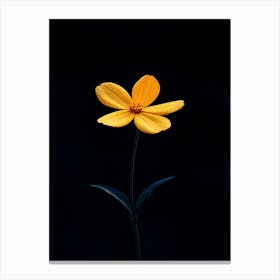 Single Yellow Flower On Black Background 11 Canvas Print