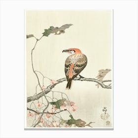 Crossbill On Tree Branch (1900 1910), Ohara Koson Canvas Print