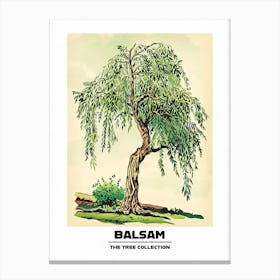 Balsam Tree Storybook Illustration 1 Poster Canvas Print