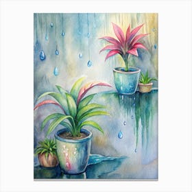 Raindrops On Potted Plants Canvas Print