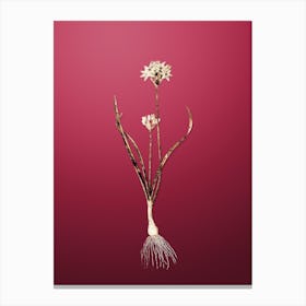 Gold Botanical Three Cornered Leek on Viva Magenta Canvas Print