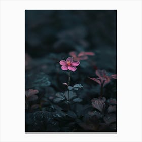 Single Flower In The Dark 68 Canvas Print