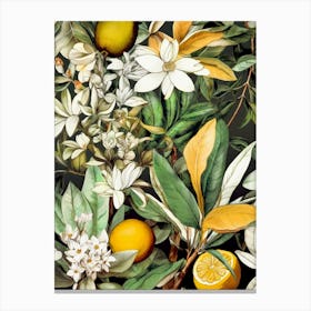 Oranges And Lemons flowers nature Canvas Print