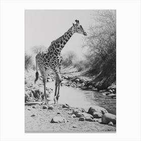 Giraffe In The River Pencil Drawing 3 Canvas Print