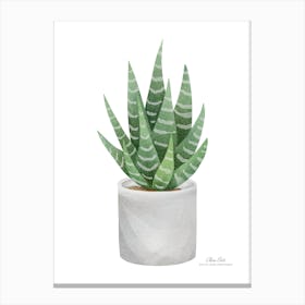 Aloe vera plant. Green plant. Beautiful plant. Thorns plant. Aloe vera flowers.9 Canvas Print