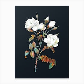 Vintage White Rose Botanical Watercolor Illustration on Dark Teal Blue n.0560 Canvas Print