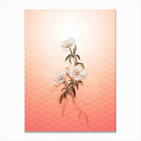 Wine Stained Godetia Flower Vintage Botanical in Peach Fuzz Hishi Diamond Pattern n.0007 Canvas Print