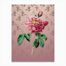 Vintage Gallic Rose Botanical on Dusty Pink Pattern n.0110 Canvas Print