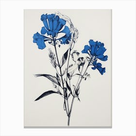 Blue Botanical Kangaroo Paw 3 Canvas Print