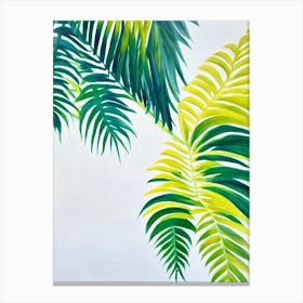 Majesty Palm Bold Graphic Plant Canvas Print