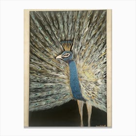 Peacock 3 Canvas Print