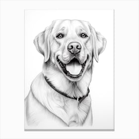 Labrador Retriever Dog, Line Drawing 1 Canvas Print