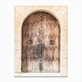 Old Wooden Door 4 Canvas Print