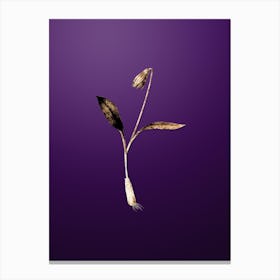 Gold Botanical Erythronium on Royal Purple Canvas Print