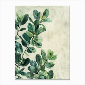 Eucalyptus Branch Canvas Print