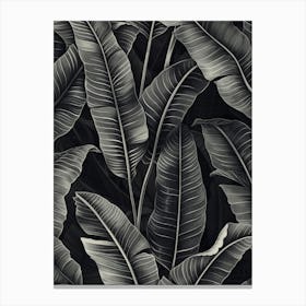Black And White Banana Leaves 3 Canvas Print