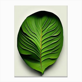 Avocado Leaf Vibrant Inspired Canvas Print