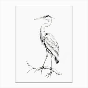 Great Blue Heron Canvas Print