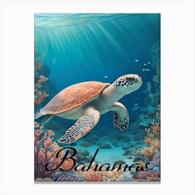 Bahamas Sea Turtle Canvas Print