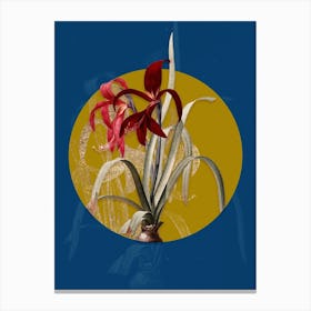 Aagql Vintage Botanical Sprekelia On Circle Yellow On Blue Canvas Print