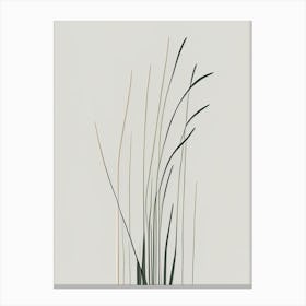 Scouring Rush Wildflower Simplicity Canvas Print