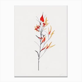 Firethorn Floral Minimal Line Drawing 4 Flower Canvas Print