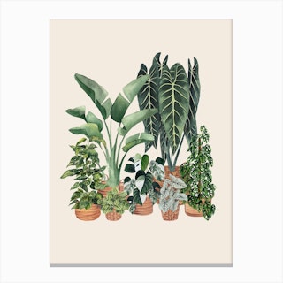 Plant Gang Canvas Print