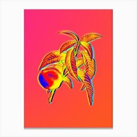Neon Peach Botanical in Hot Pink and Electric Blue n.0130 Canvas Print