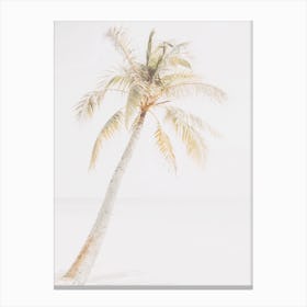 Pastel Palm Tree Canvas Print