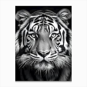 Portrait Of A Tiger Canvas Print