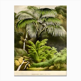 Ferns And Waterfall Canvas Print