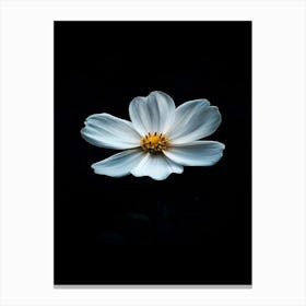 White Flower On Black Background 3 Canvas Print