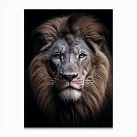 Color Photograph Of A Lion Canvas Print