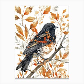 Robin 13 Canvas Print