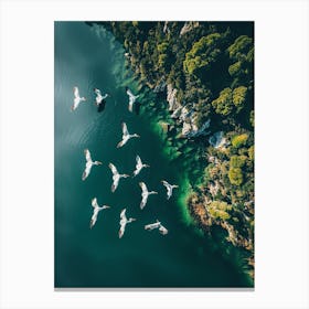 Pelicans Flying Over A Lake Canvas Print
