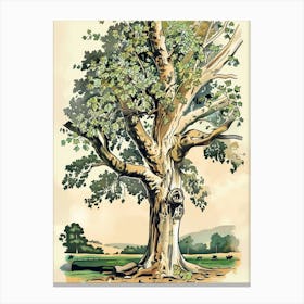 Beech Tree Storybook Illustration 2 Canvas Print