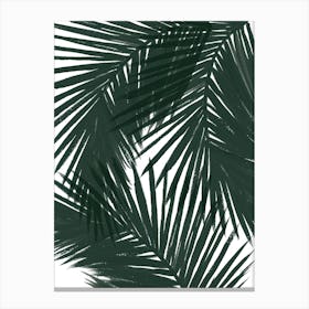 Green Palms Canvas Print