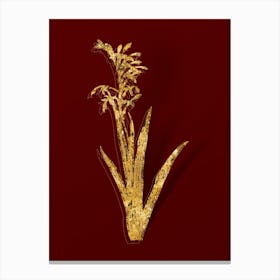 Vintage Antholyza Aethiopica Botanical in Gold on Red n.0188 Canvas Print