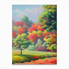 Chinese Pistache Tree Watercolour Canvas Print