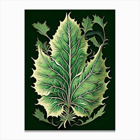 Madder Leaf Vintage Botanical 1 Canvas Print