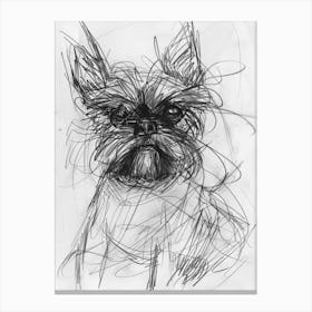 Affenpinscher Dog Charcoal Line Canvas Print