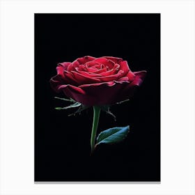 Red Rose On Black Background 65 Canvas Print