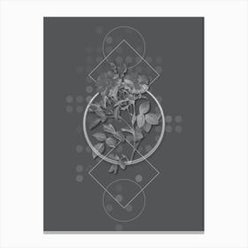 Vintage Queen Elizabeth's Sweetbriar Rose Botanical with Line Motif and Dot Pattern in Ghost Gray n.0087 Canvas Print