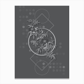Vintage Musk Rose Botanical with Line Motif and Dot Pattern in Ghost Gray n.0187 Canvas Print