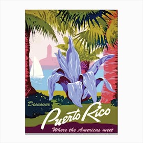 Discover Puerto Rico Canvas Print