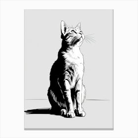 Cat Looking Up Canvas Print