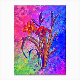 Orange Day Lily Botanical in Acid Neon Pink Green and Blue n.0064 Canvas Print