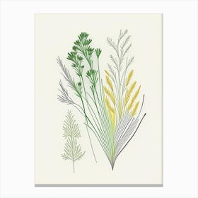 Fennel Seeds Spices And Herbs Minimal Line Drawing 6 Canvas Print