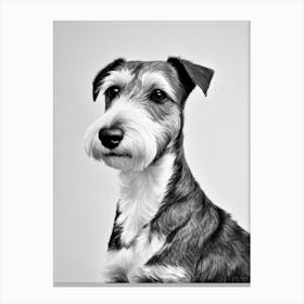 Welsh Terrier B&W Pencil dog Canvas Print